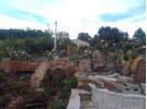 IMG_20250323_184525.jpg