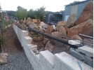 IMG_20250323_184618.jpg