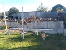 IMG_20250323_170740.jpg