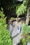 DSC_0110.JPG DSC_0110.JPG