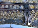 IMG_8470.jpeg