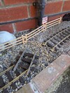 PXL_20250402_122633905.jpg