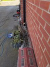 PXL_20250402_124320270.MP.jpg