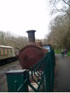 DSCF8005.JPG