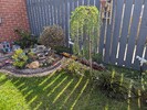 PXL_20250412_121609106.jpg