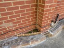 PXL_20250417_143517614.jpg
