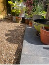 IMG_3019.jpeg