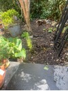 IMG_3020.jpeg