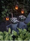 IMG_3119.jpeg
