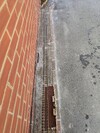 PXL_20250501_094335694.jpg