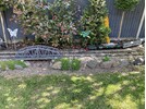 IMG_0484.jpeg