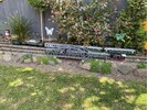 IMG_0486.jpeg