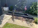 IMG_0487.jpeg