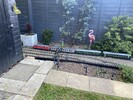 IMG_0489.jpeg