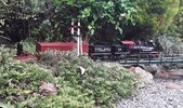 20170919_122156.jpg 20170919_122156.jpg