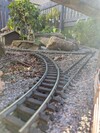 PXL_20250514_180641520.jpg