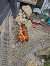 PXL_20250515_100717490.MP.jpg