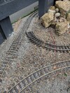 PXL_20250515_110248885.jpg