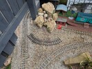 PXL_20250515_110254043.jpg