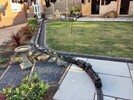 IMG_0833.jpeg