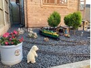 IMG_0837.jpeg