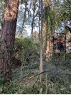 IMG_2440.jpeg