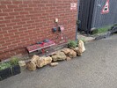 PXL_20250522_152010632.jpg