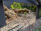 PXL_20250523_151745905.jpg