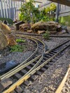 PXL_20250528_183113197.jpg