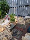 PXL_20250610_105709454.jpg PXL_20250610_105709454.jpg