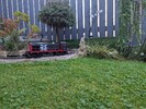 PXL_20250616_072630927.jpg PXL_20250616_072630927.jpg