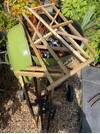 IMG_3577.jpeg