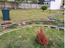 20250806_161421.jpg