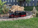 PXL_20250809_190330529.jpg