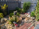 PXL_20250810_140140744.jpg