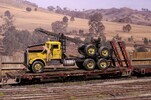 Log Truck Corrected-1.jpg