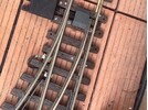 IMG_7718.jpeg