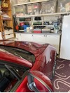 IMG_5025 (Medium).JPEG