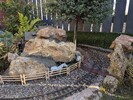 PXL_20250826_154947900.jpg