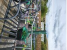 20250906_145232.jpg