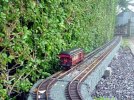 Testing Trains (240).JPG