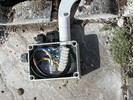 IMG_2989.jpeg