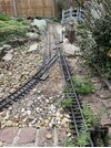 IMG_3010.jpeg
