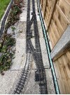IMG_3024.jpeg