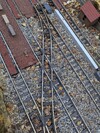 PXL_20251019_090711978.jpg