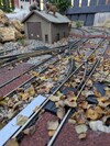 PXL_20251019_091314900.jpg