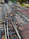 PXL_20251019_091322332.jpg