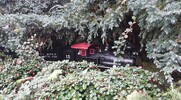 20170919_122401.jpg 20170919_122401.jpg