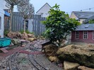 PXL_20251220_151549548.jpg