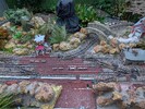 PXL_20251220_151752444.jpg